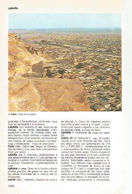 LAMINA 11193: El Cairo Egipto
