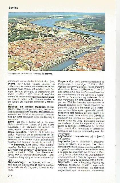 LAMINA 11213: Bayona Francia