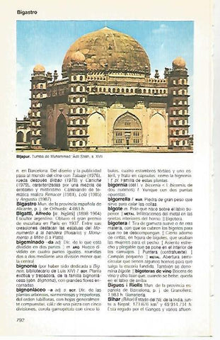 LAMINA 11224: Tumba de Muhammad Adil Shah en Bijapur India