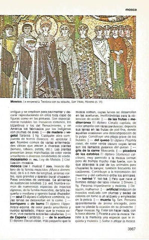 LAMINA 11240: Mosaico bizantino de la emperatriz Teodora en Ravena