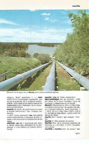 LAMINA 11249: Rio Murray