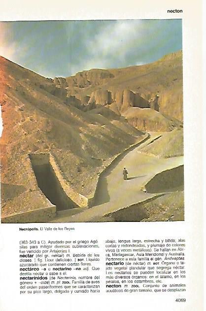 LAMINA 11264: El Valle de los Reyes Egipto