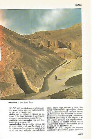 LAMINA 11264: El Valle de los Reyes Egipto