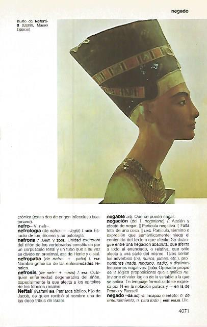 LAMINA 11265: Busto de Nefertiti