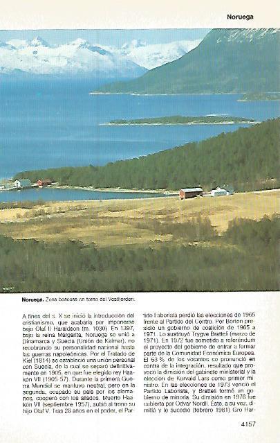 LAMINA 11281: Bosque de Noruega