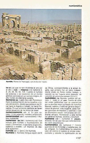 LAMINA 11288: Ruinas de Thamugadi Argelia