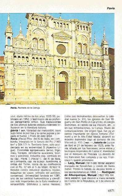 LAMINA 11291: Cartuja de Pavia Italia
