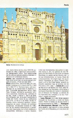 LAMINA 11291: Cartuja de Pavia Italia
