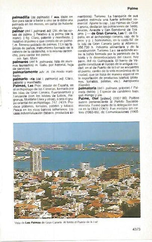 LAMINA 11301: Vista de Las Palmas de Gran Canaria