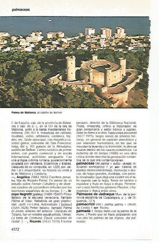 LAMINA 11302: Castillo de Bellver en Palma de Mallorca