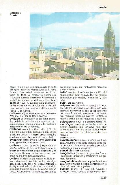 LAMINA 11310: Catedral de Oviedo