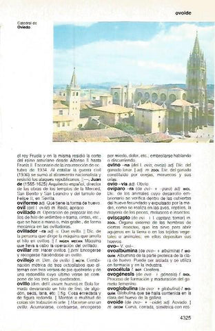 LAMINA 11310: Catedral de Oviedo
