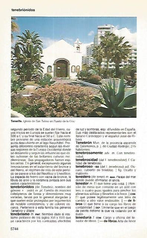 LAMINA 11342: Iglesia de San Telmo en Puereto de la Cruz Canarias