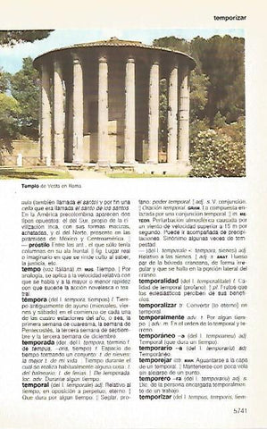 LAMINA 11343: Templo de Vestga en Roma