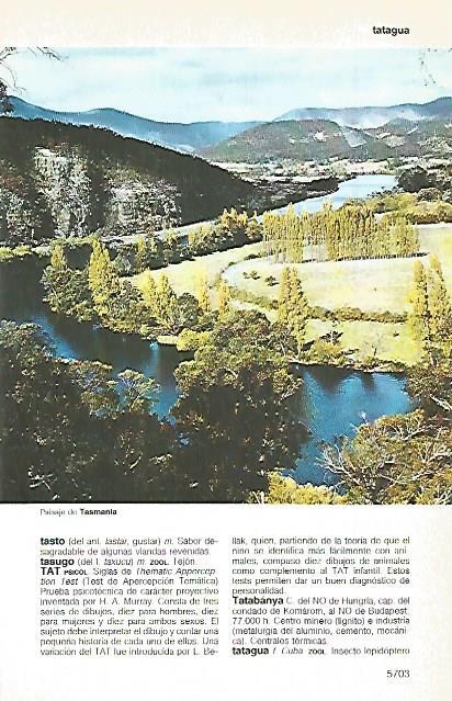 LAMINA 11349: paisaje de Tasmania