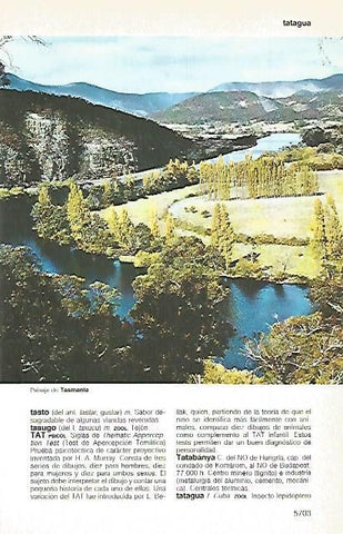 LAMINA 11349: paisaje de Tasmania