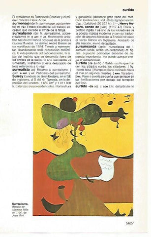 LAMINA 11359: Retrato de Mistress Mills por Joan Miro