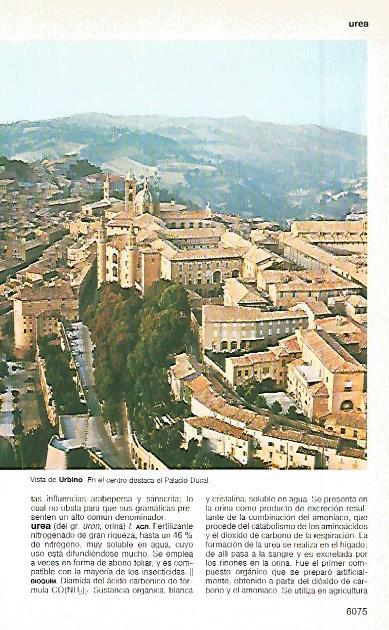 LAMINA 11377: Urbino Italia