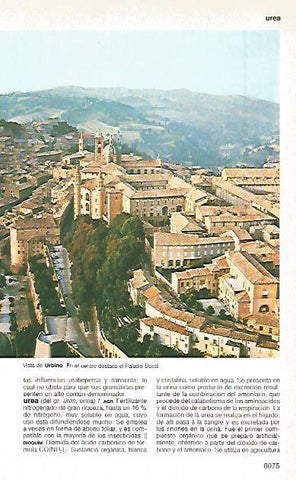 LAMINA 11377: Urbino Italia