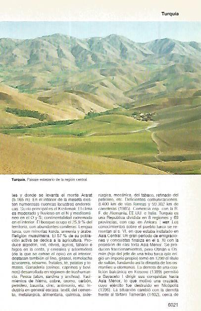 LAMINA 11387: Estepa en Turquia