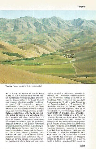 LAMINA 11387: Estepa en Turquia