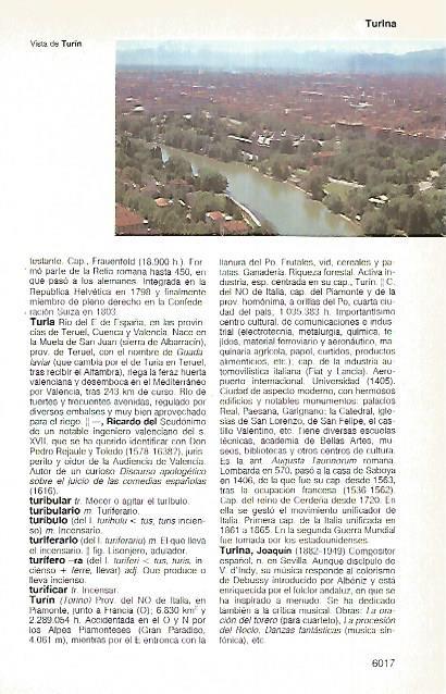 LAMINA 11388: Turin Italia