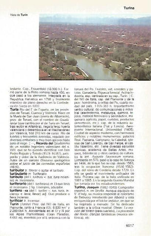 LAMINA 11388: Turin Italia