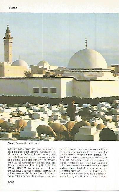 LAMINA 11389: Cementerio de Monastir Tunez