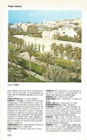 LAMINA 11392: Tripoli Libia