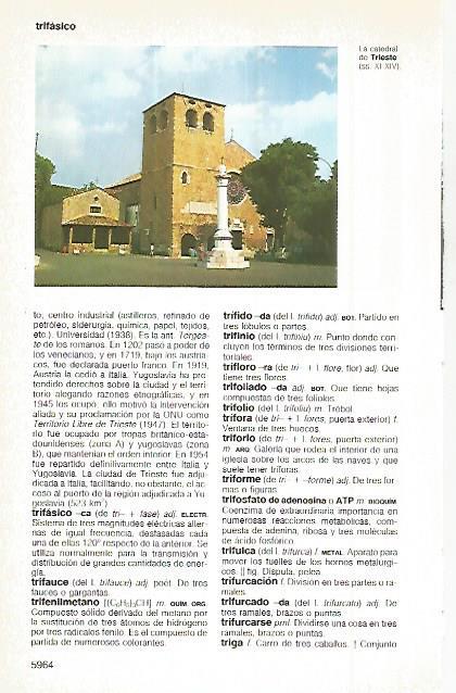 LAMINA 11393: Catedral de Trieste Italia