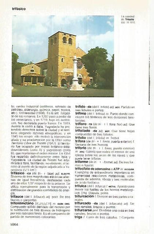 LAMINA 11393: Catedral de Trieste Italia