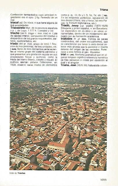 LAMINA 11395: Vista de Treviso Italia