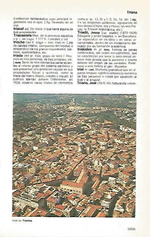 LAMINA 11395: Vista de Treviso Italia