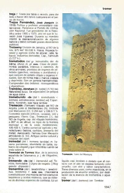 LAMINA 11398: Torre del Mansura en Tremecen Argelia
