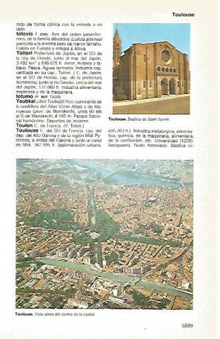 LAMINA 11402: Vista y Basilica de Toulousse Francia