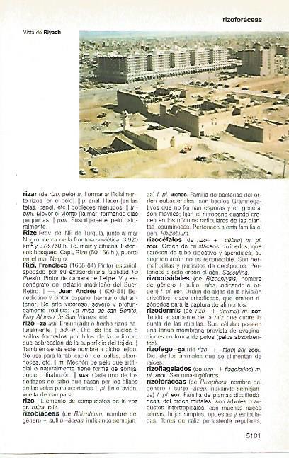LAMINA 11417: Riyadh o Riad Arabia Saudi
