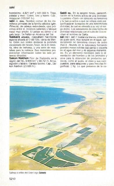 LAMINA 11432: Salinas del Gran Lago Salado