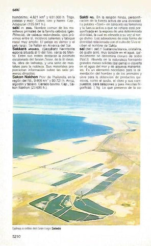 LAMINA 11432: Salinas del Gran Lago Salado