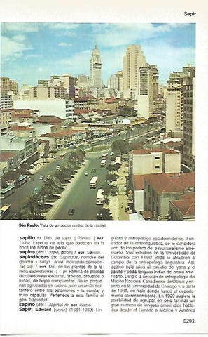 LAMINA 11450: Vista parcial de Sao Paolo Brasil
