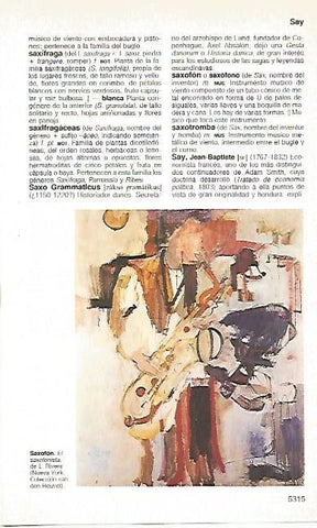 LAMINA 11455: El saxosofonista por L. Rivers
