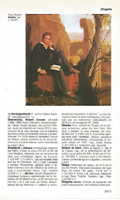 LAMINA 11469: Percy Byssne Shelley por J. Severn