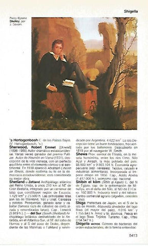 LAMINA 11469: Percy Byssne Shelley por J. Severn