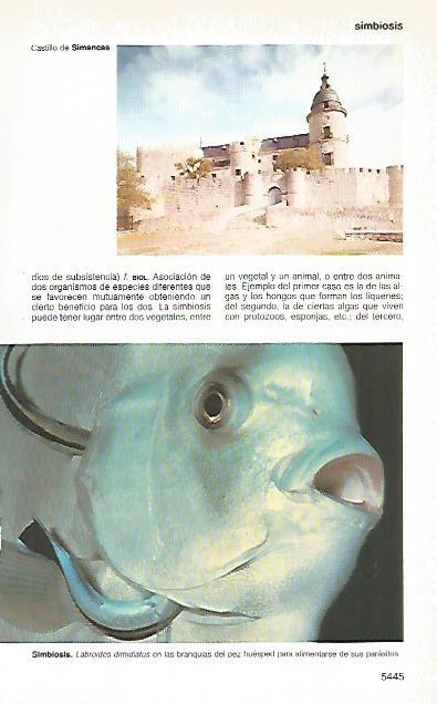 LAMINA 11473: Castillo de Simancas