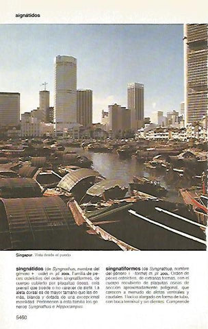 LAMINA 11475: Puerto de Singapur