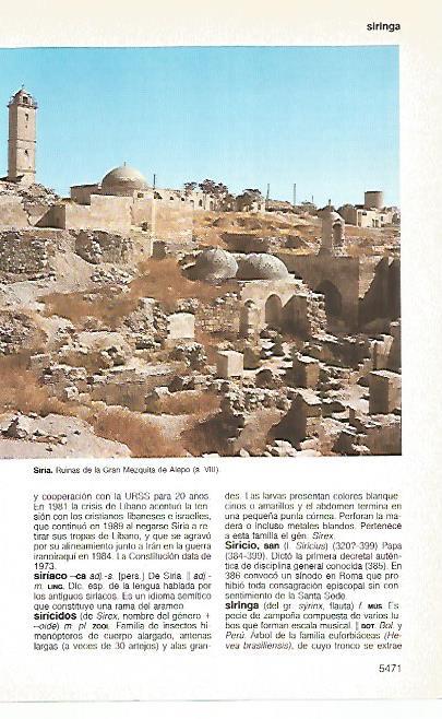 LAMINA 11477: Ruinas de la Gran Mezquita de Alepo Siria