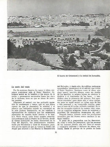 LAMINA 11515: Huerto de Getsemani en Jerusalen Israel
