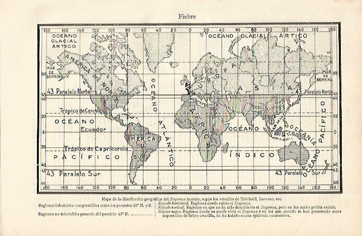 LAMINA ESPASA 2496: Mapa de la distribucion del Stegommya fasciata