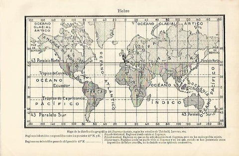 LAMINA ESPASA 2496: Mapa de la distribucion del Stegommya fasciata