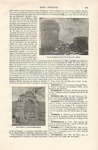 LAMINA ESPASA 20633: Sepulcros incas en Puno Peru
