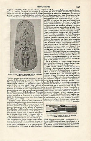 LAMINA ESPASA 20316: Escudo de madera de Nueva Guinea